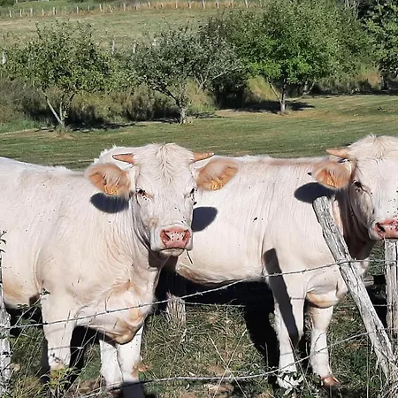 La Demeure De Bysance فيلة Mézières-sous-Lavardin