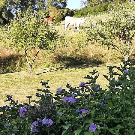 La Demeure De Bysance Villa