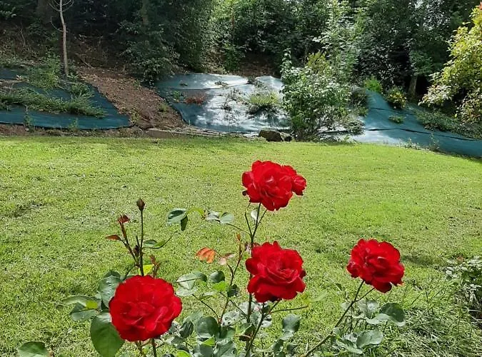 La Demeure De Bysance