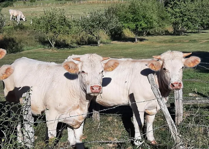 La Demeure De Bysance Villa Mézières-sous-Lavardin