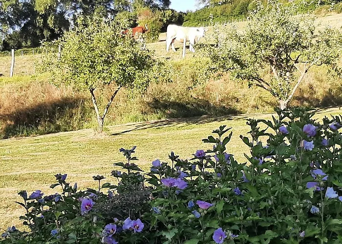 La Demeure De Bysance Villa